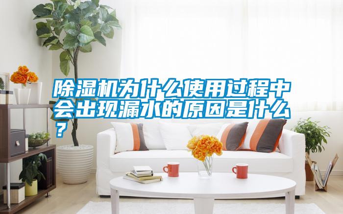 除濕機為什么使用過程中會出現漏水的原因是什么？