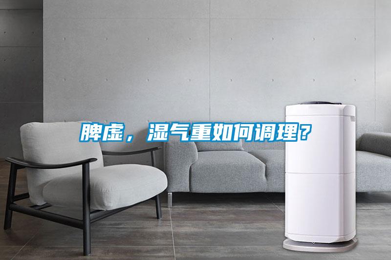 脾虛，濕氣重如何調理？
