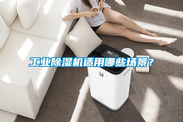 工業除濕機適用哪些場景？