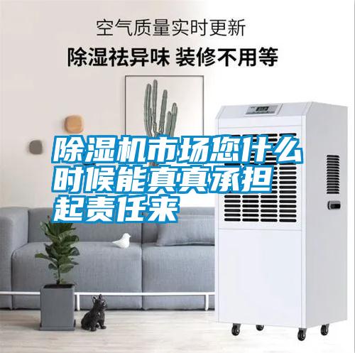 除濕機市場您什么時候能真真承擔起責任來