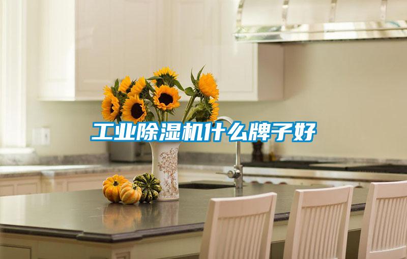 工業(yè)除濕機什么牌子好