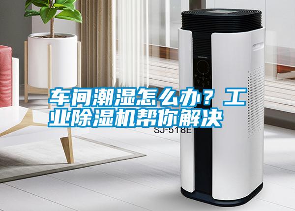 車間潮濕怎么辦？工業除濕機幫你解決