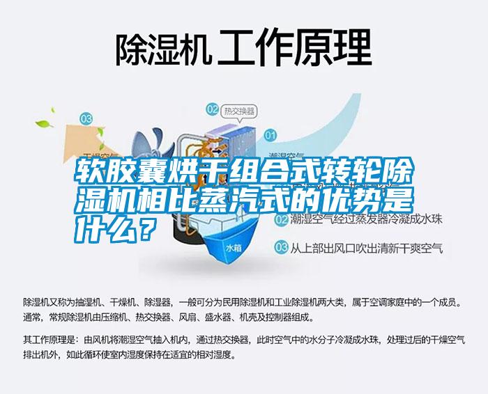軟膠囊烘干組合式轉輪除濕機相比蒸汽式的優勢是什么？