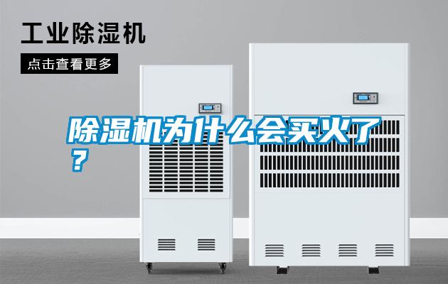 除濕機為什么會買火了？