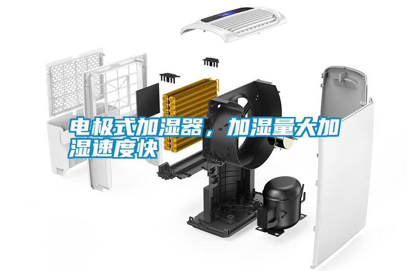 電極式加濕器，加濕量大加濕速度快