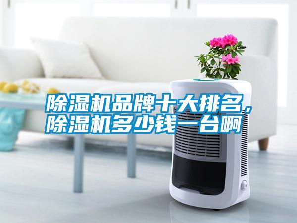 除濕機品牌十大排名，除濕機多少錢一臺啊