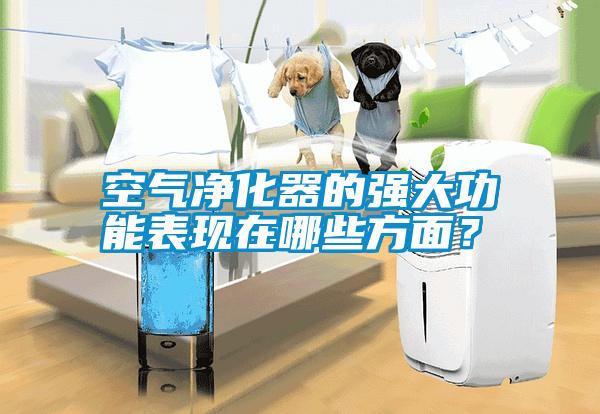 空氣凈化器的強(qiáng)大功能表現(xiàn)在哪些方面？