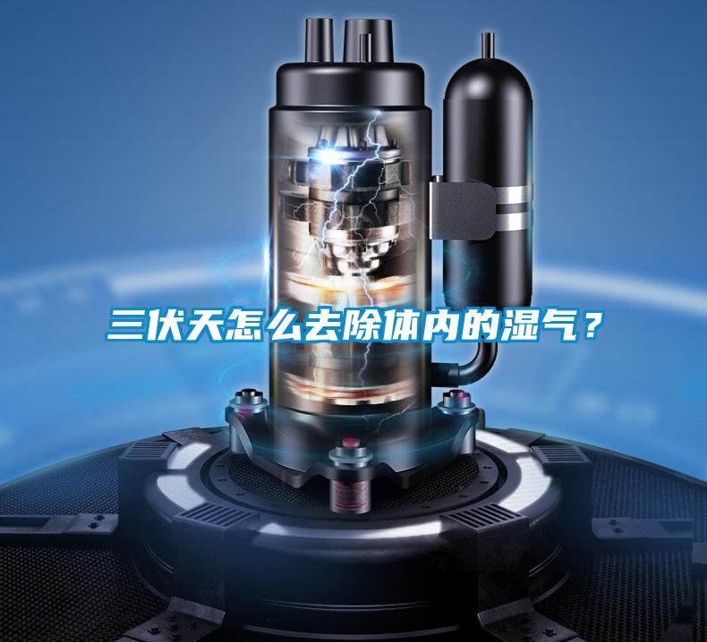 三伏天怎么去除體內的濕氣？
