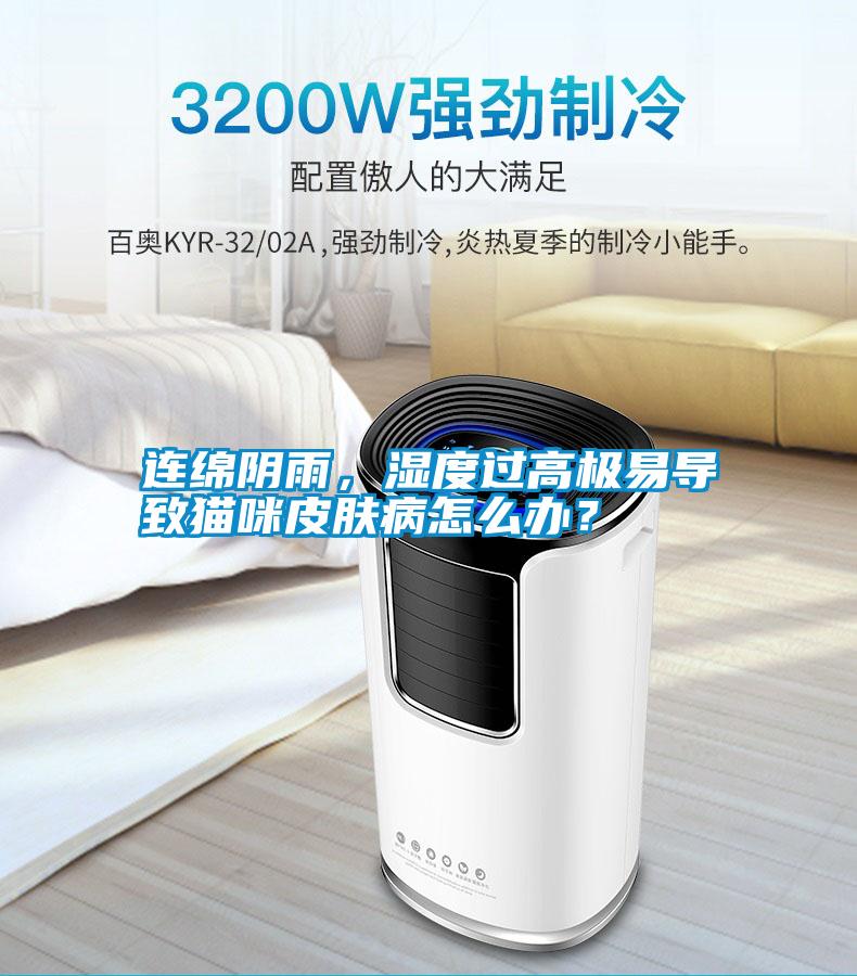 連綿陰雨，濕度過(guò)高極易導(dǎo)致貓咪皮膚病怎么辦？