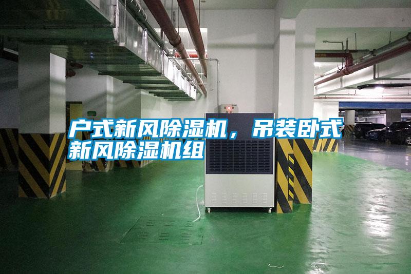 戶式新風除濕機，吊裝臥式新風除濕機組