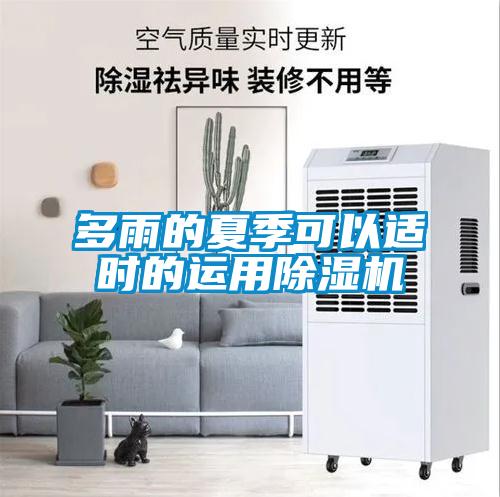 多雨的夏季可以適時的運(yùn)用除濕機(jī)