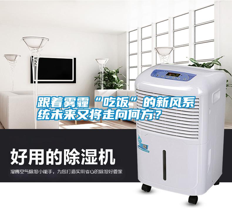 跟著霧霾“吃飯”的新風系統未來又將走向何方？