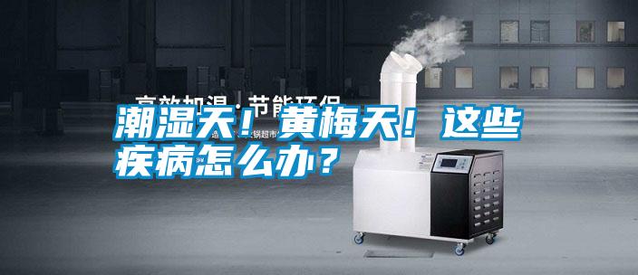 潮濕天！黃梅天！這些疾病怎么辦？