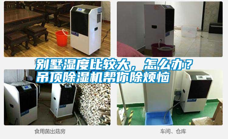 別墅濕度比較大，怎么辦？吊頂除濕機幫你除煩惱