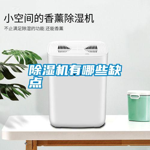 除濕機有哪些缺點