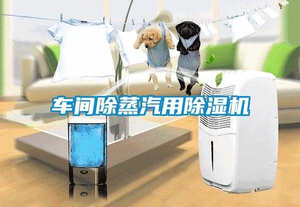 車間除蒸汽用除濕機(jī)