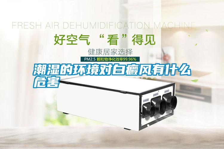 潮濕的環境對白癜風有什么危害