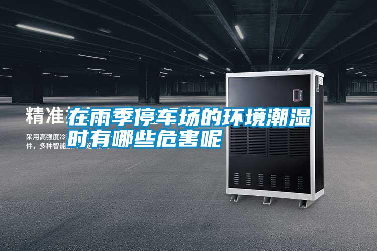 在雨季停車場的環(huán)境潮濕時有哪些危害呢