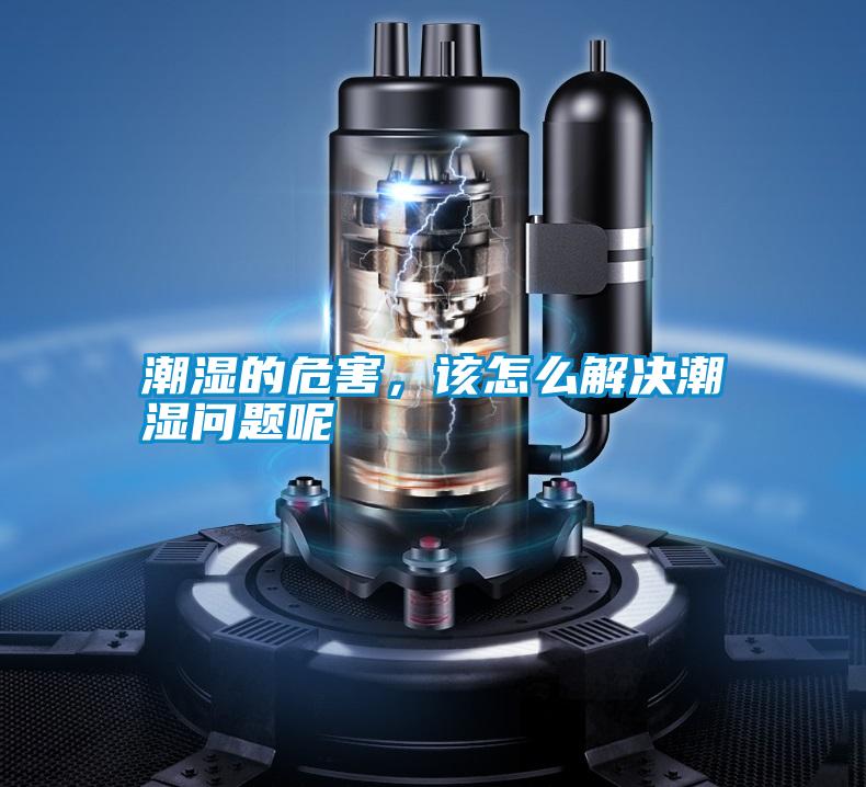 潮濕的危害，該怎么解決潮濕問題呢