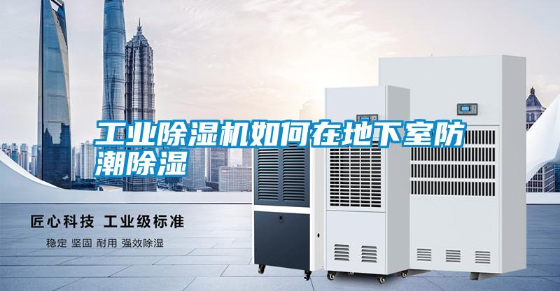 工業(yè)除濕機(jī)如何在地下室防潮除濕
