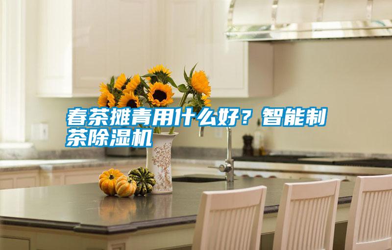 春茶攤青用什么好？智能制茶除濕機
