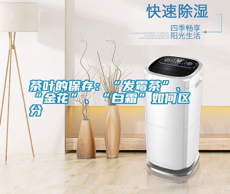 茶葉的保存：“發霉茶”、“金花”、“白霜”如何區分