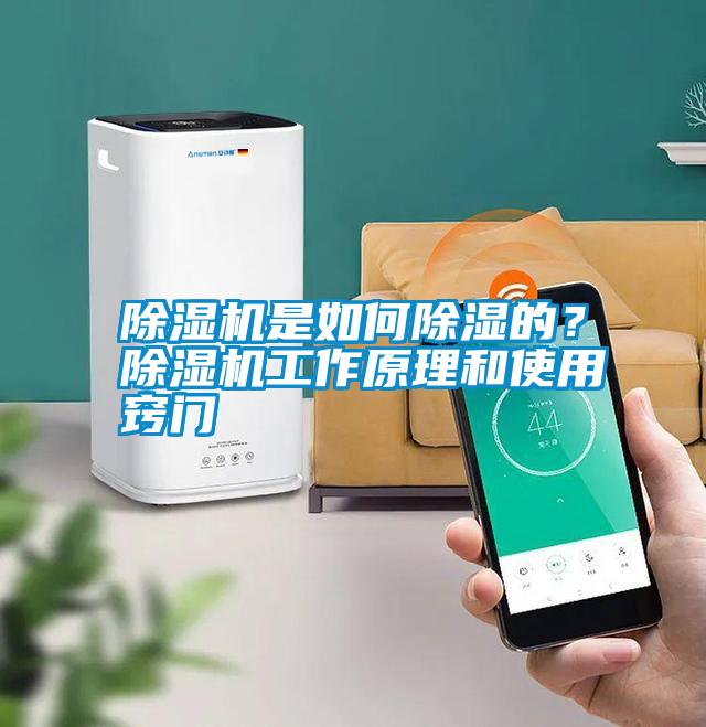 除濕機(jī)是如何除濕的？除濕機(jī)工作原理和使用竅門