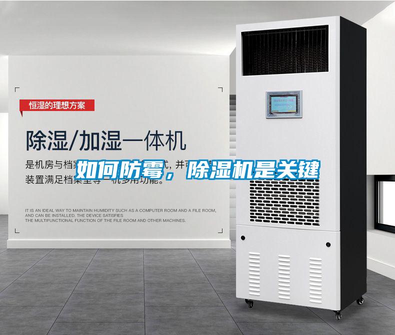如何防霉，除濕機是關鍵