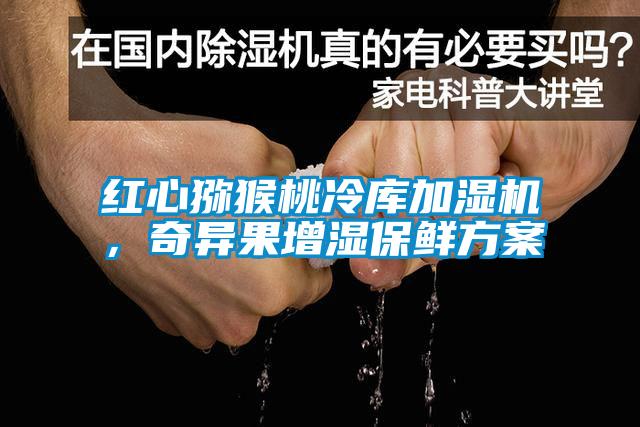紅心獼猴桃冷庫加濕機，奇異果增濕保鮮方案