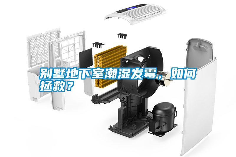 別墅地下室潮濕發霉，如何拯救？