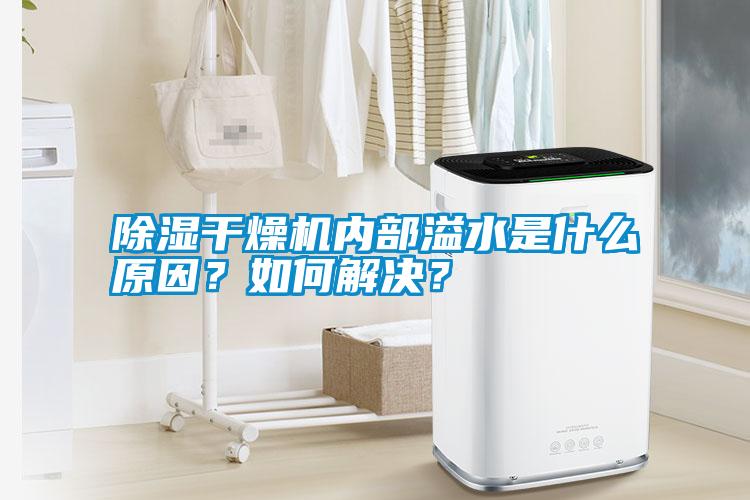 除濕干燥機內部溢水是什么原因？如何解決？