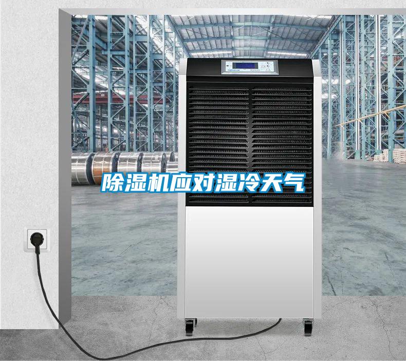 除濕機應對濕冷天氣