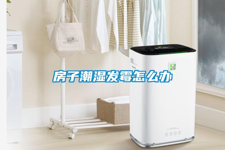 房子潮濕發霉怎么辦