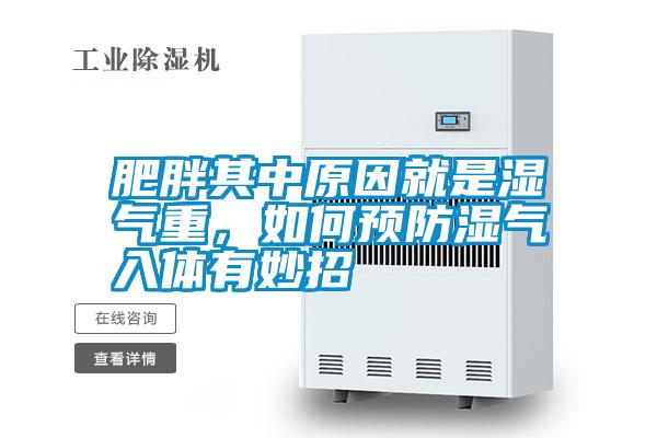 肥胖其中原因就是濕氣重，如何預防濕氣入體有妙招