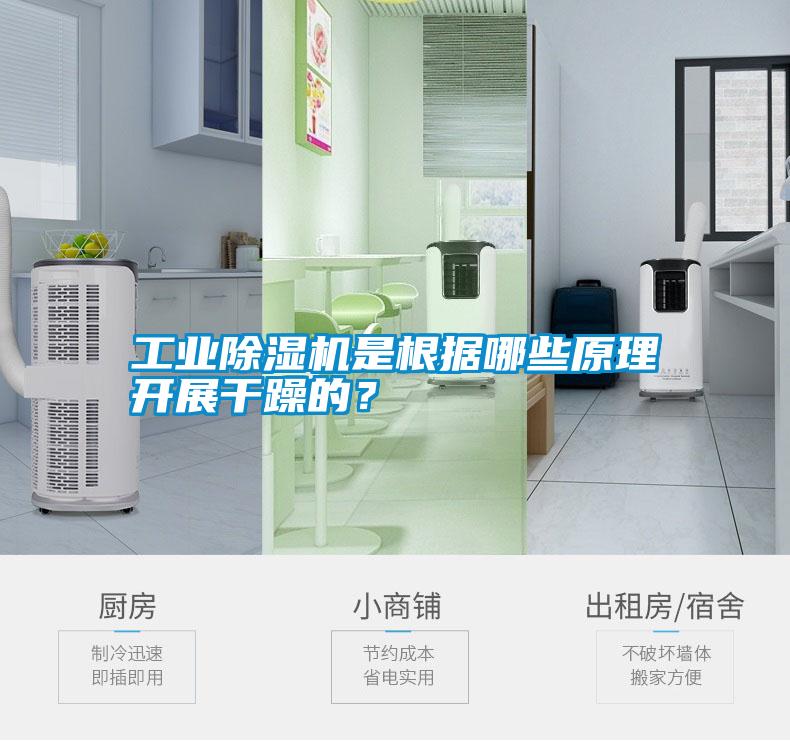 工業除濕機是根據哪些原理開展干躁的？