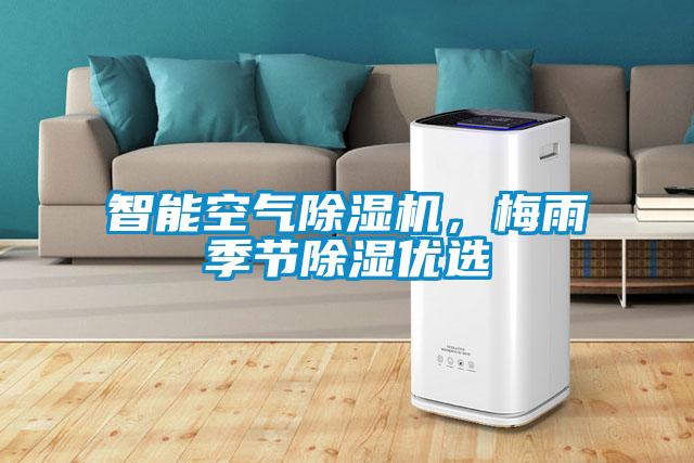智能空氣除濕機，梅雨季節(jié)除濕優(yōu)選