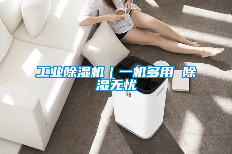工業(yè)除濕機｜一機多用 除濕無憂