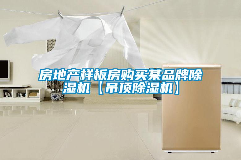房地產樣板房購買某品牌除濕機【吊頂除濕機】