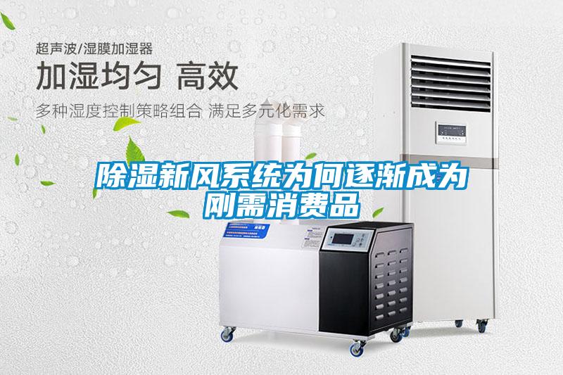 除濕新風(fēng)系統(tǒng)為何逐漸成為剛需消費(fèi)品