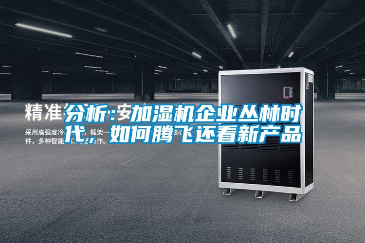 分析：加濕機企業叢林時代，如何騰飛還看新產品
