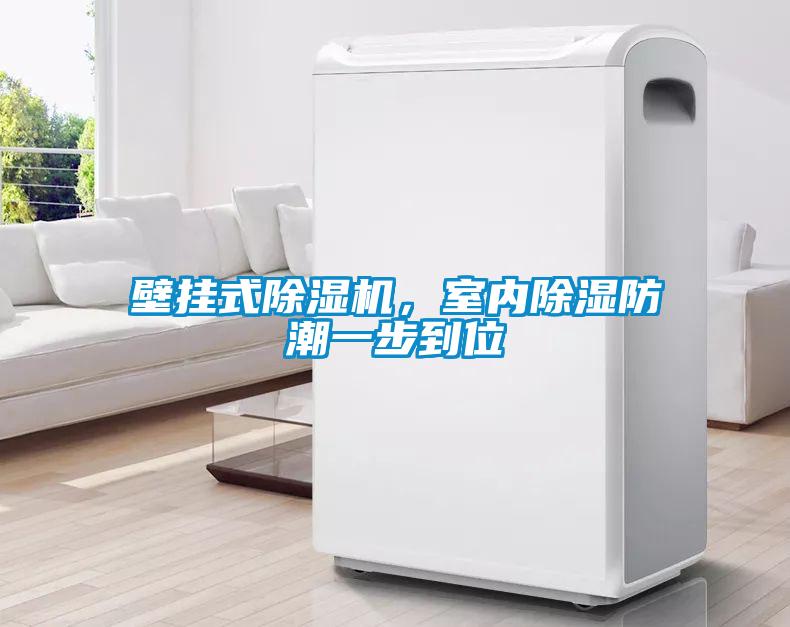 壁掛式除濕機，室內除濕防潮一步到位