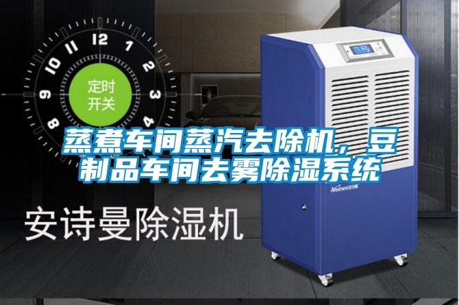 蒸煮車間蒸汽去除機(jī)，豆制品車間去霧除濕系統(tǒng)