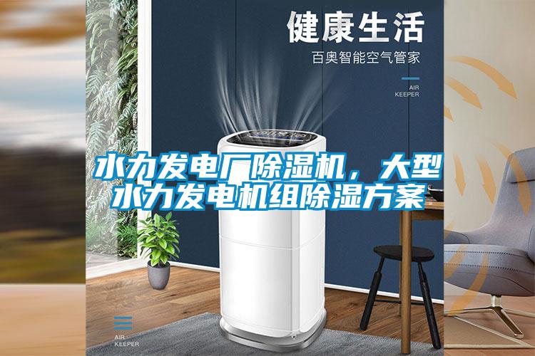 水力發電廠除濕機，大型水力發電機組除濕方案