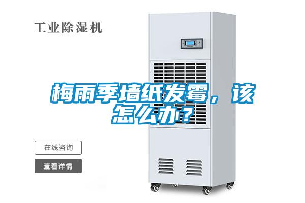 梅雨季墻紙發(fā)霉，該怎么辦？