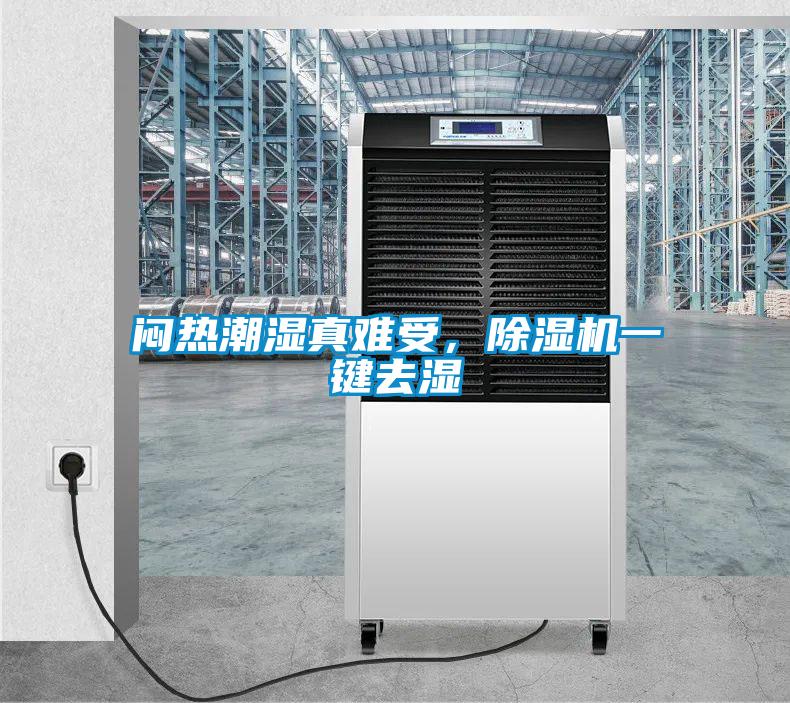 悶熱潮濕真難受，除濕機一鍵去濕