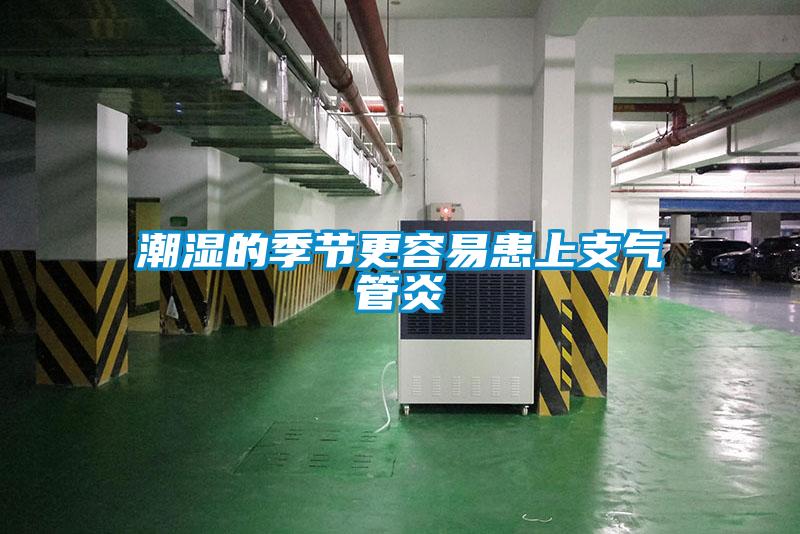潮濕的季節更容易患上支氣管炎