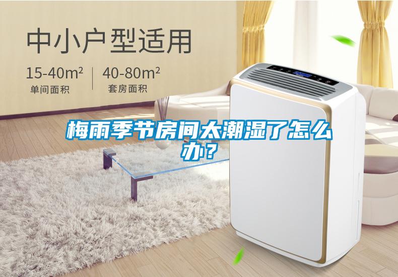 梅雨季節房間太潮濕了怎么辦？