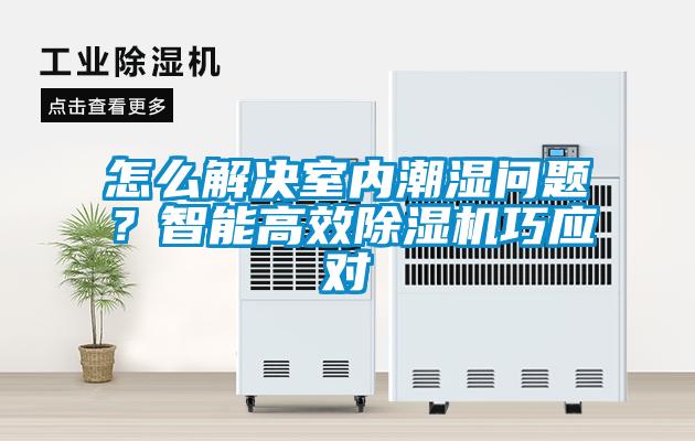 怎么解決室內潮濕問題？智能高效除濕機巧應對