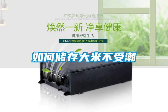如何儲(chǔ)存大米不受潮