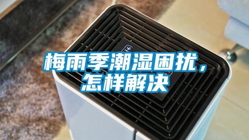 梅雨季潮濕困擾，怎樣解決